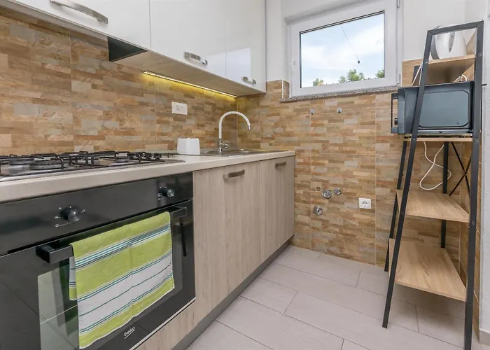 Cvita * 普利莫顿